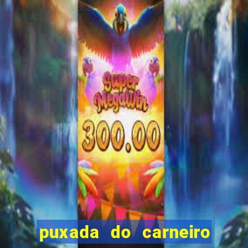 puxada do carneiro no jogo do bicho